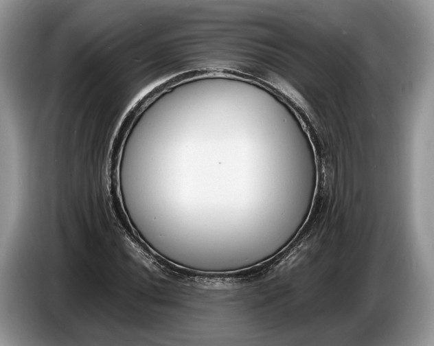 X0000086721020200704271606