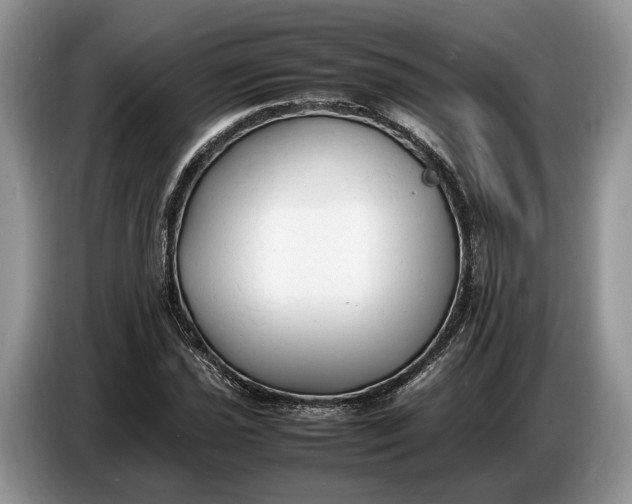 X0000086721021200704271606