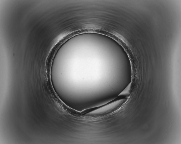 X0000086721022200704271606