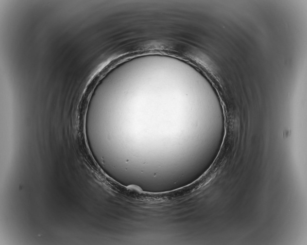 X0000086721023200704271606