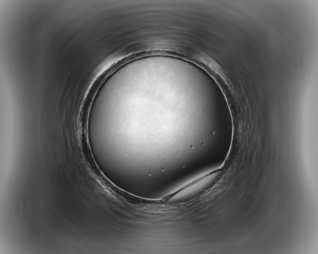 X0000086721024200704271606