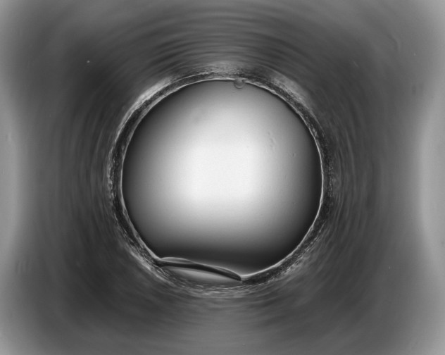 X0000086721026200704271606