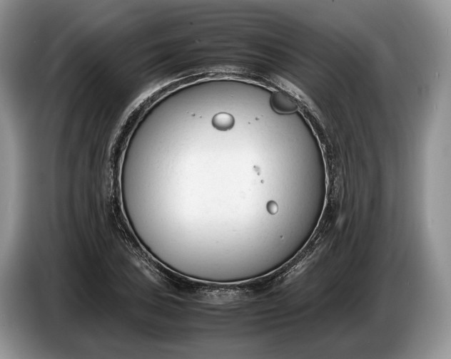 X0000086721027200704271606