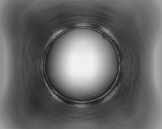 X0000086721033200704271606