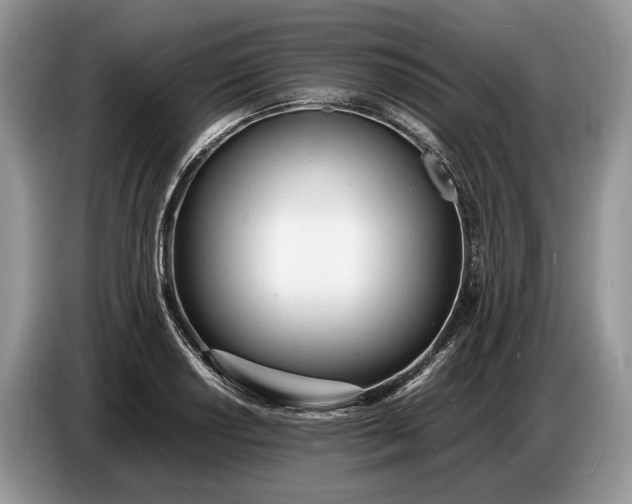 X0000086721034200704271606