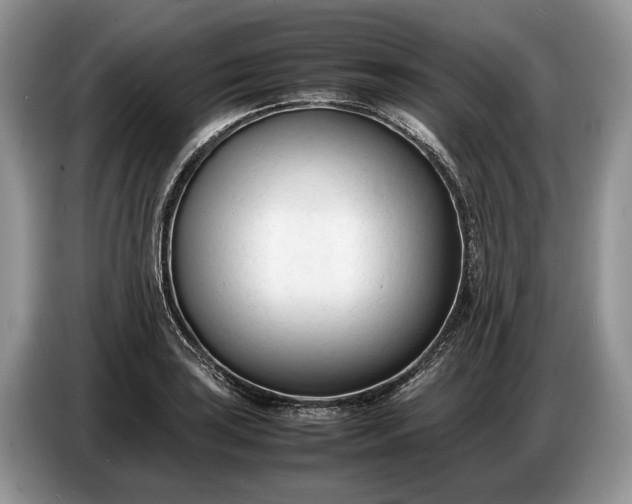 X0000086721035200704271606
