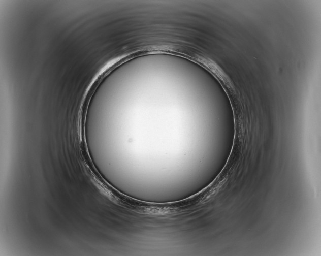 X0000086721036200704271606
