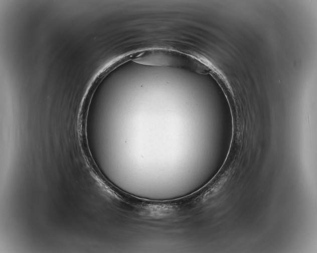X0000086721037200704271606
