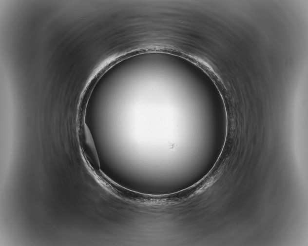 X0000086721038200704271606