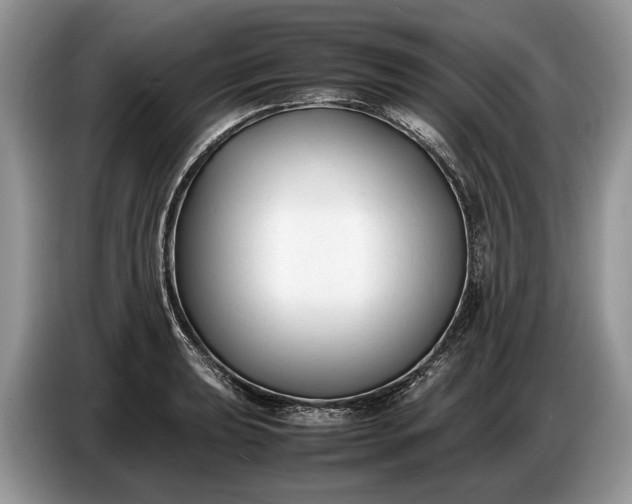 X0000086721039200704271606