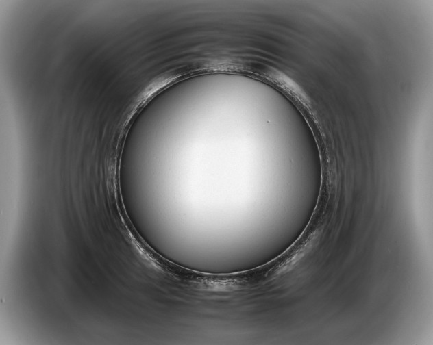 X0000086721041200704271606