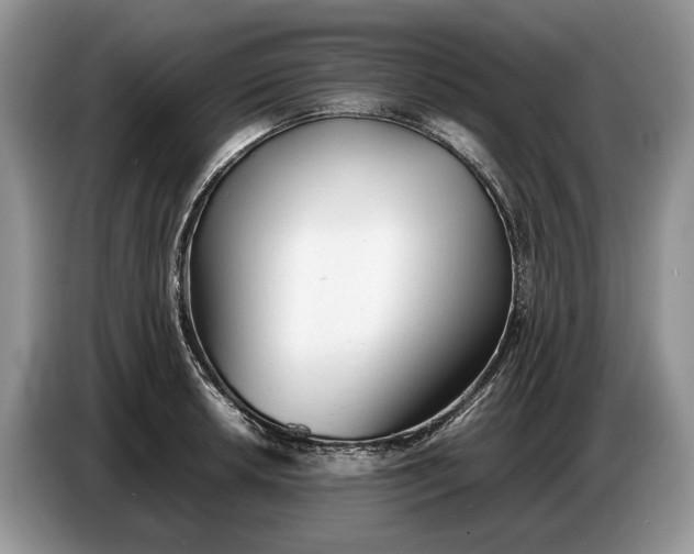 X0000086721042200704271606