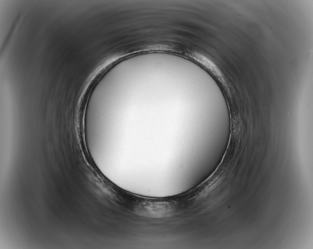 X0000086721043200704271606
