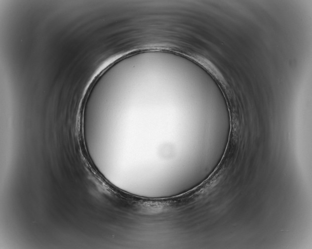 X0000086721044200704271607