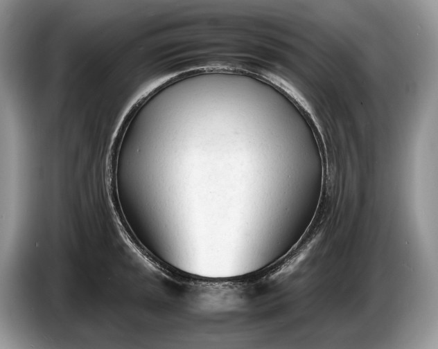 X0000086721045200704271607