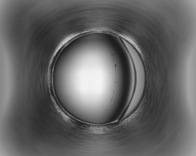 X0000086721046200704271607