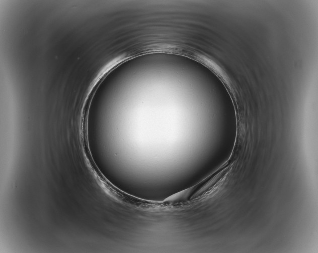 X0000086721050200704271607