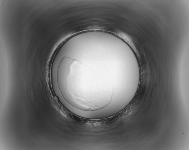X0000086721051200704271607