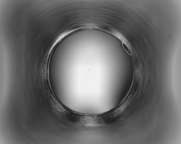 X0000086721052200704271607