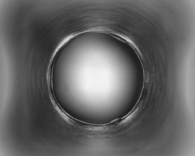 X0000086721054200704271607