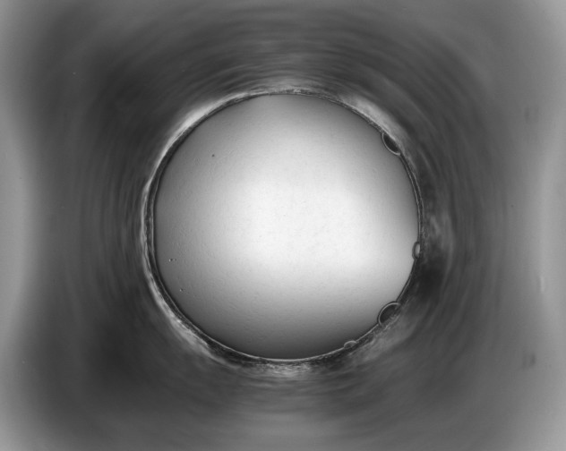 X0000086721055200704271607