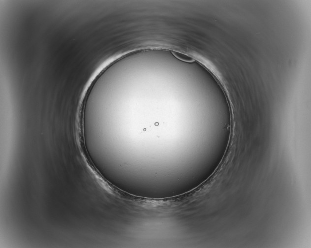 X0000086721056200704271607