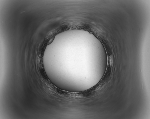 X0000086721059200704271606