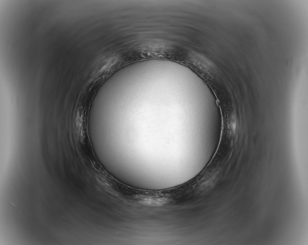 X0000086721060200704271606