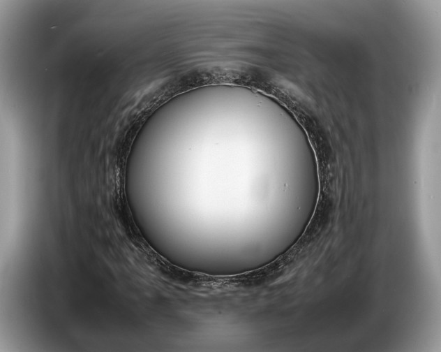 X0000086721061200704271606