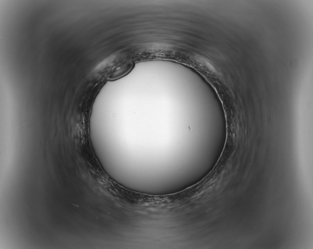 X0000086721062200704271606