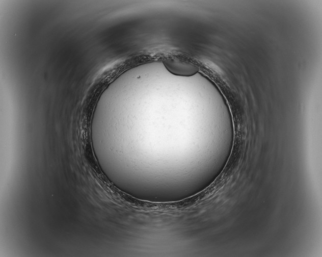 X0000086721063200704271606