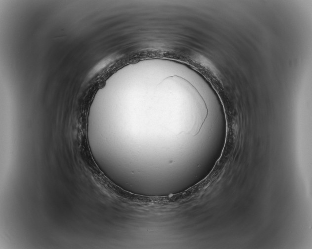 X0000086721064200704271606