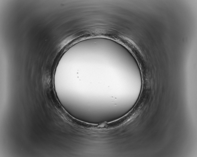 X0000086721065200704271606