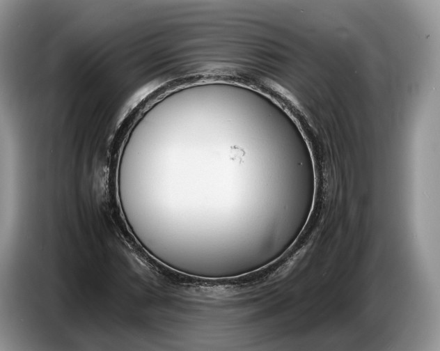 X0000086721066200704271606