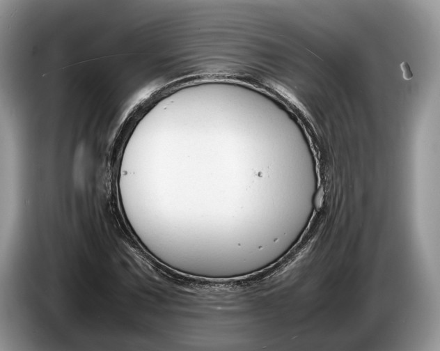 X0000086721067200704271606