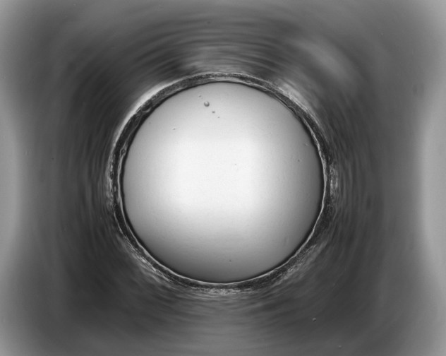 X0000086721068200704271606