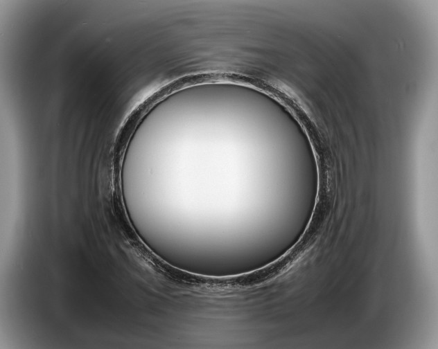 X0000086721069200704271606