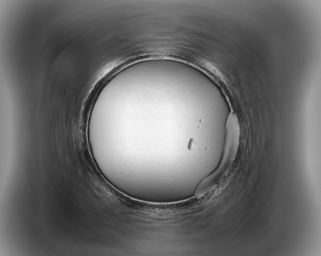 X0000086721071200704271606