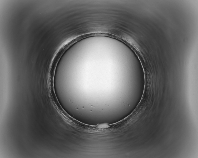 X0000086721072200704271606