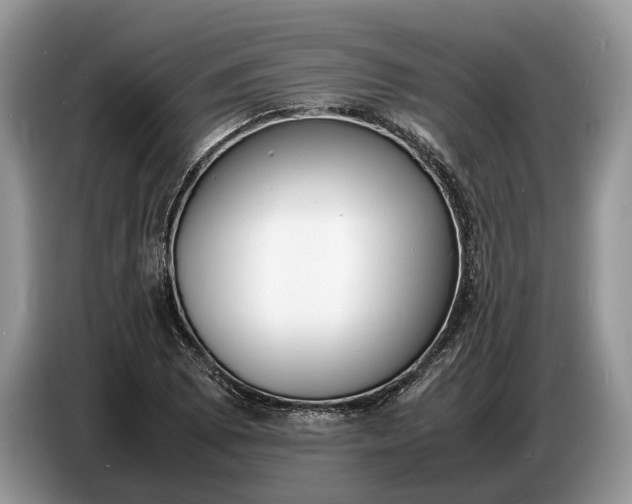 X0000086721073200704271606