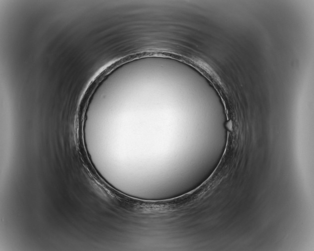 X0000086721076200704271606