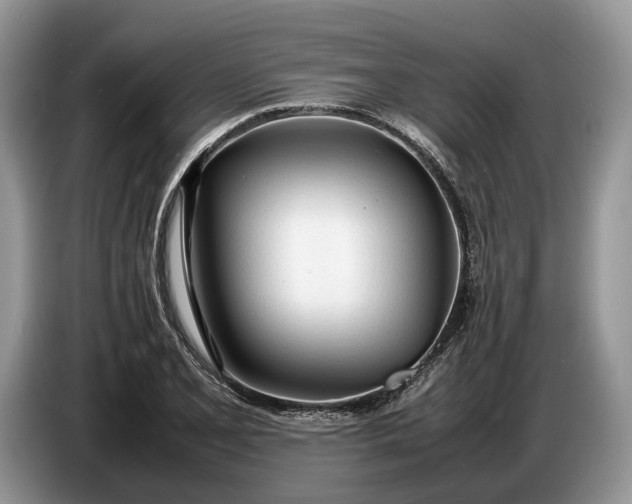 X0000086721077200704271606