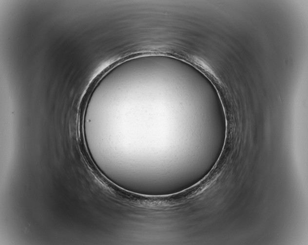 X0000086721079200704271606