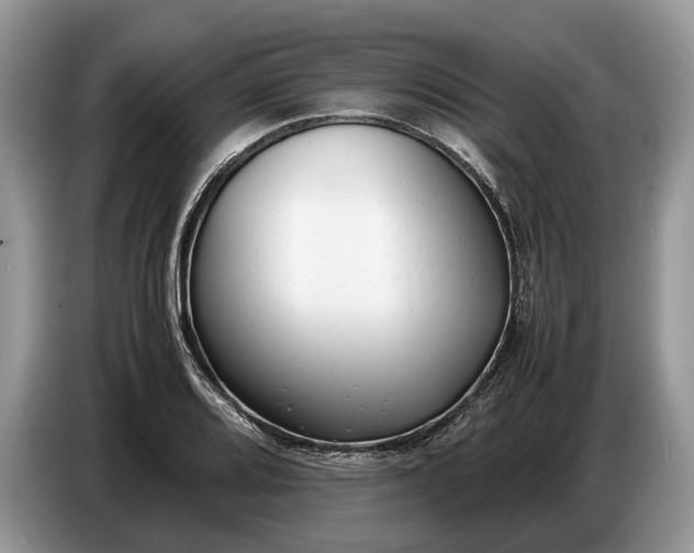 X0000086721080200704271606