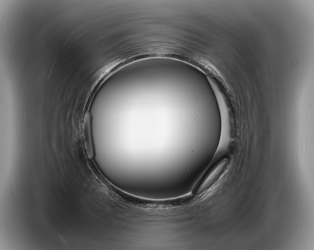 X0000086721081200704271606