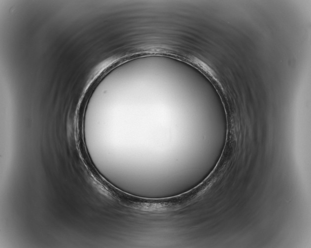 X0000086721082200704271606
