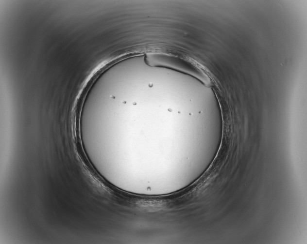 X0000086721083200704271606