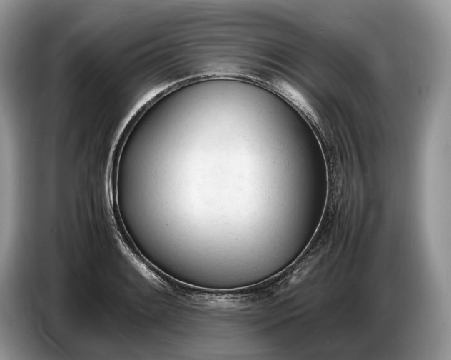 X0000086721084200704271606