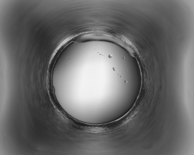 X0000086721085200704271606