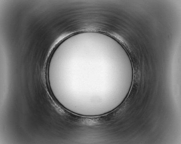 X0000086721086200704271606